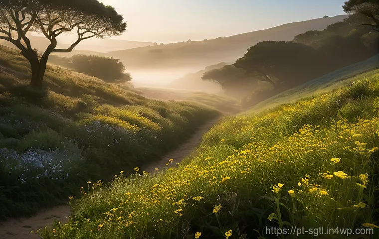 디지털 스토리에서의 서브텍스트 활용하기 - A serene and misty early morning scene in a lush Portuguese valley. Soft, ethereal golden sunlight f...